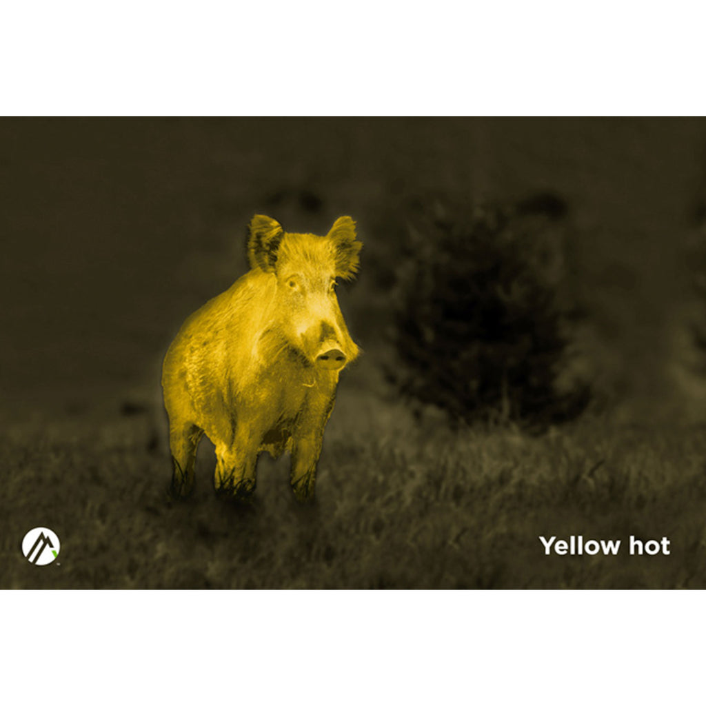 Yellow hot